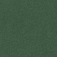 Ковролин Radici Nexus Foresta 8222 фото 1 | FLOORDEALER